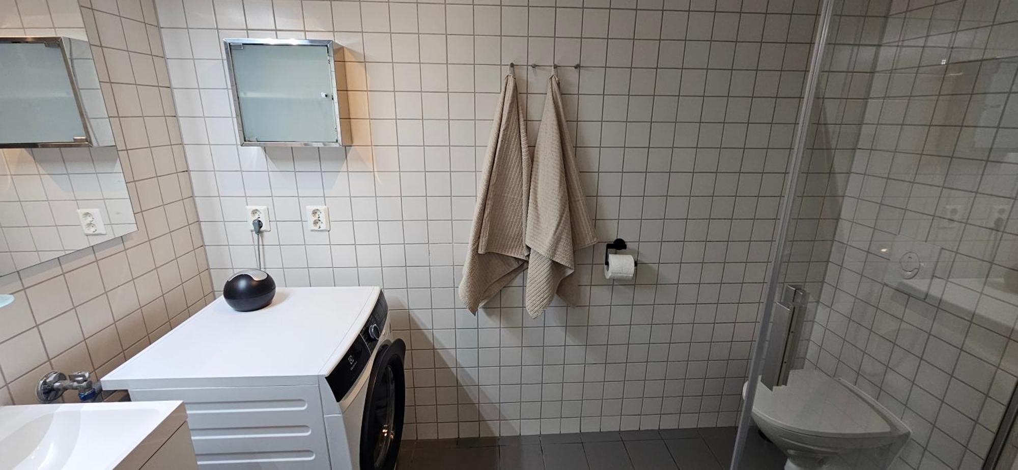 Apartment Interlake